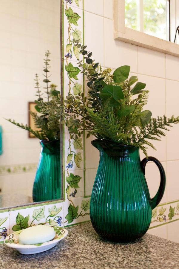 Vila Chacara Flora Em Malveira Da Serra 阿尔卡彼得克 外观 照片